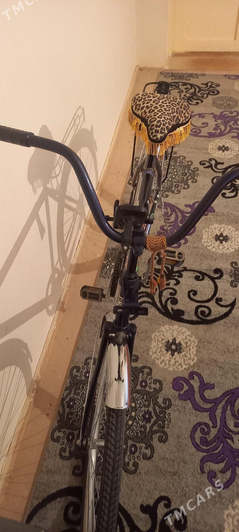 ural welisabet - Daşoguz - img 1