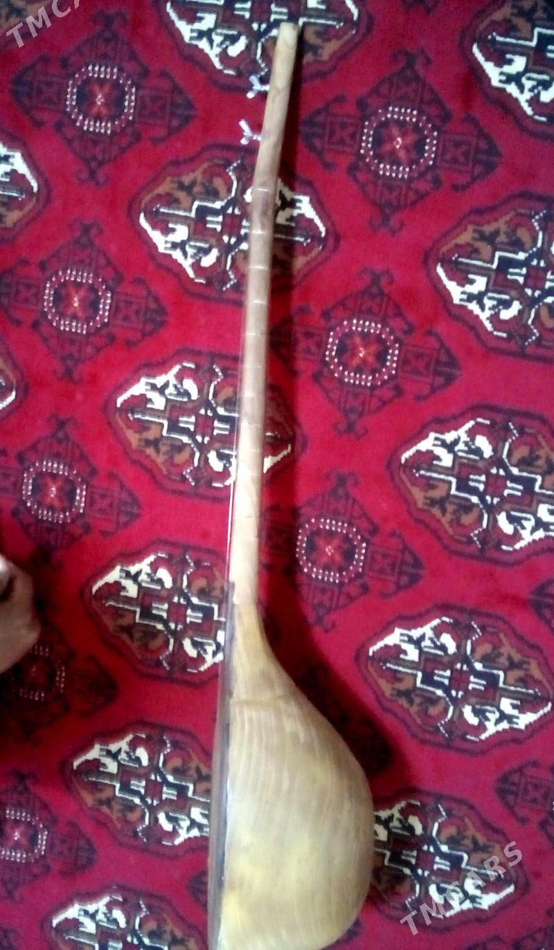 Dutar orta - Mary - img 2