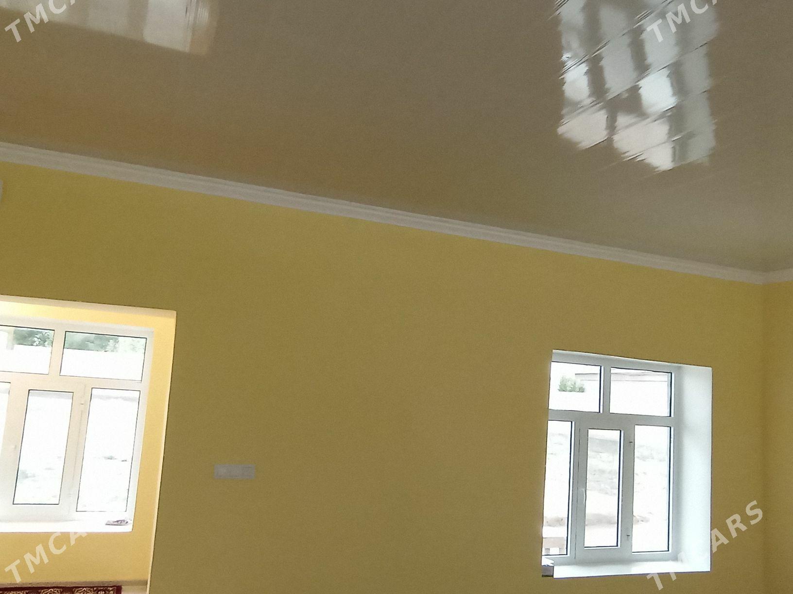 Howly jay  Mary - Mary - img 10