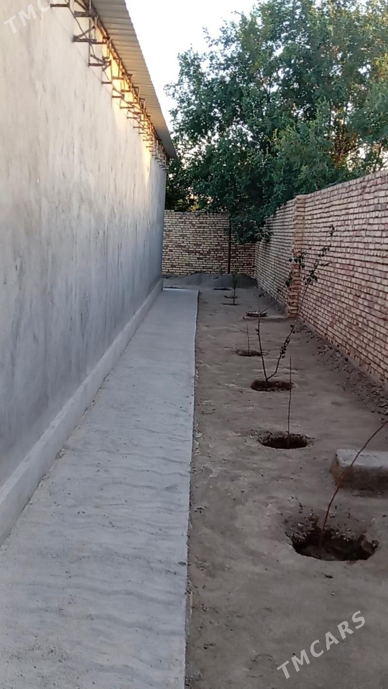 Howly jay  Mary - Mary - img 2