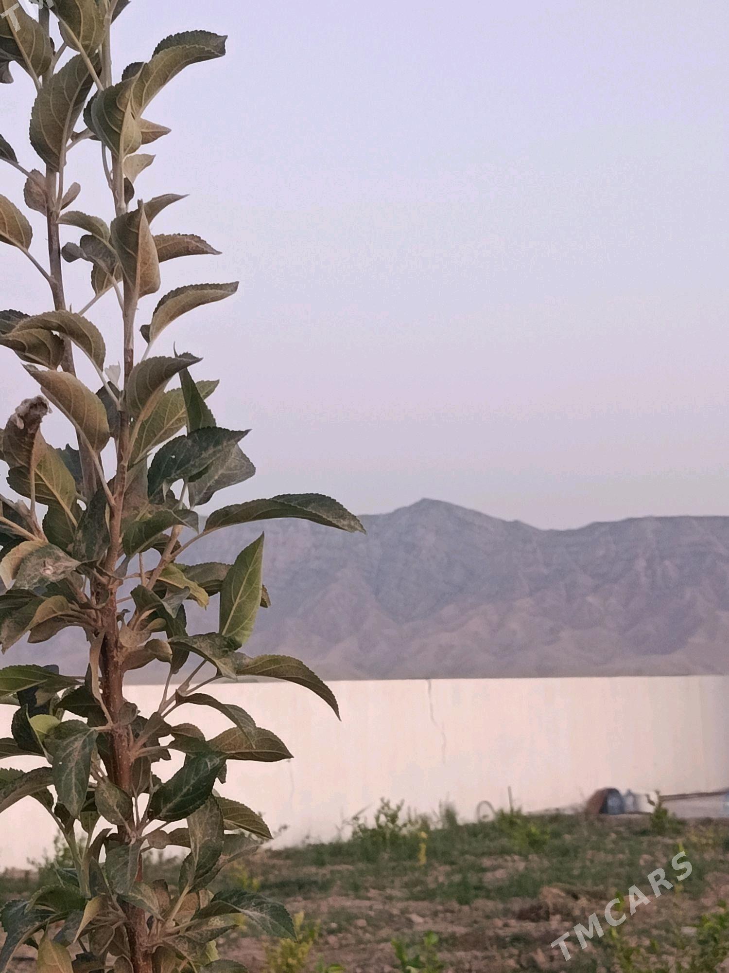 GÖKDEPE ŞORGALA 30 Ý IPOTEKADA - Aşgabat - img 5