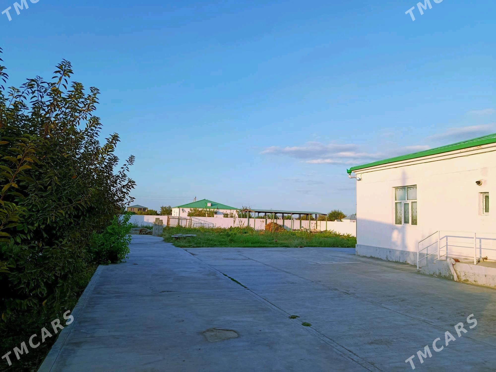 GÖKDEPE ŞORGALA 30 Ý IPOTEKADA - Aşgabat - img 4