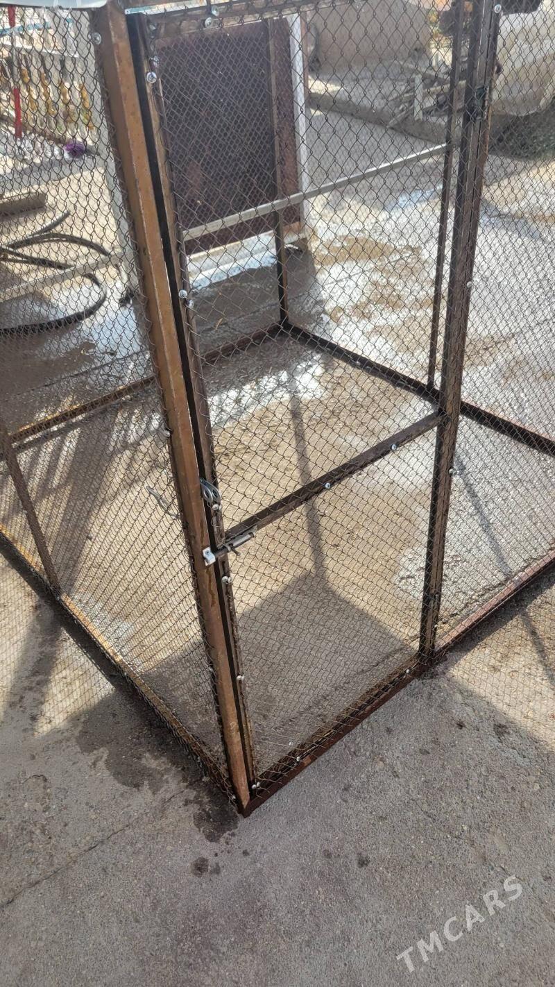 Towuk ketek - Mary - img 3