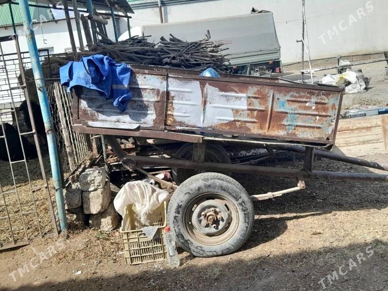 Arawa uly - Гёкдепе - img 4