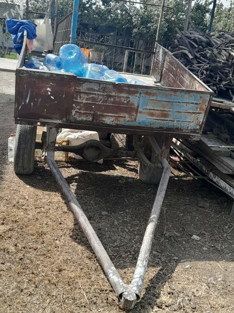 Arawa uly - Гёкдепе - img 3