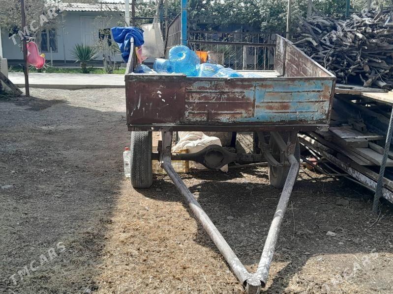 Arawa uly - Гёкдепе - img 2