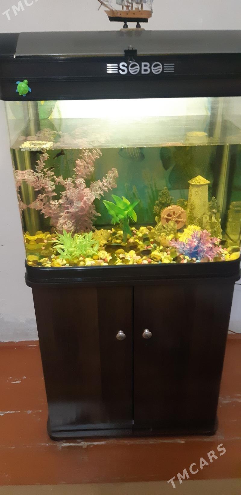 аквариум заводской 100л - Байрамали - img 1