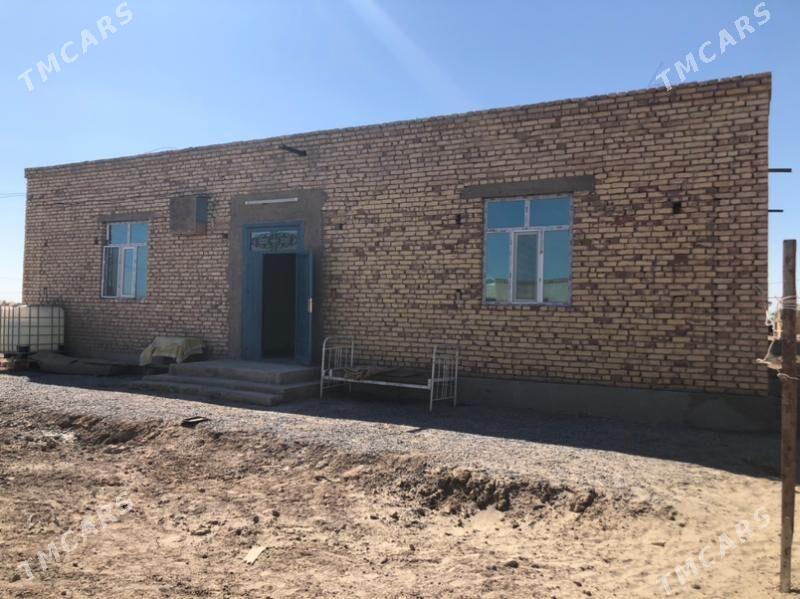 jay satlyk - Daşoguz - img 7