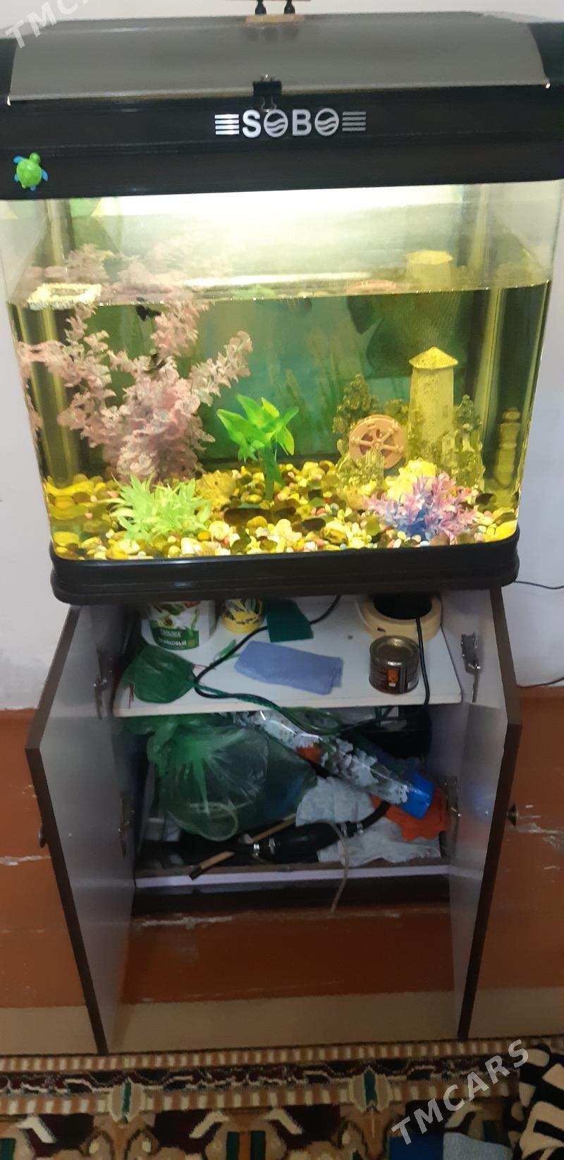 аквариум заводской 100л - Байрамали - img 2