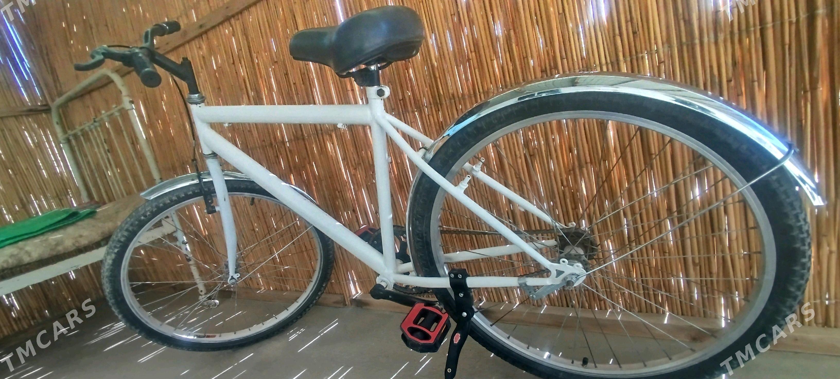 Tigir - Gubadag - img 2