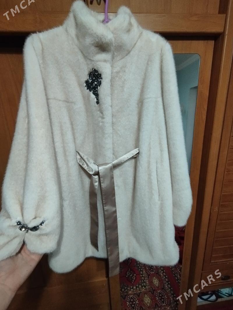 Şubo - Änew - img 3