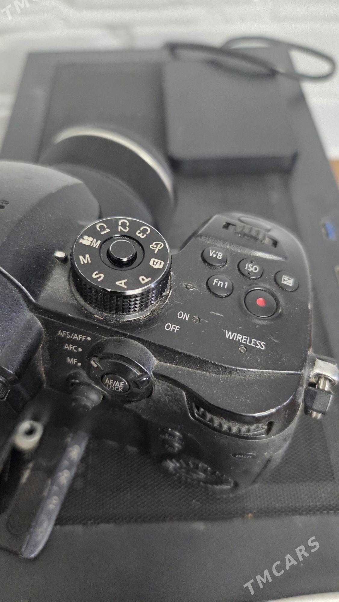 lumix gh5 - Серахс - img 3