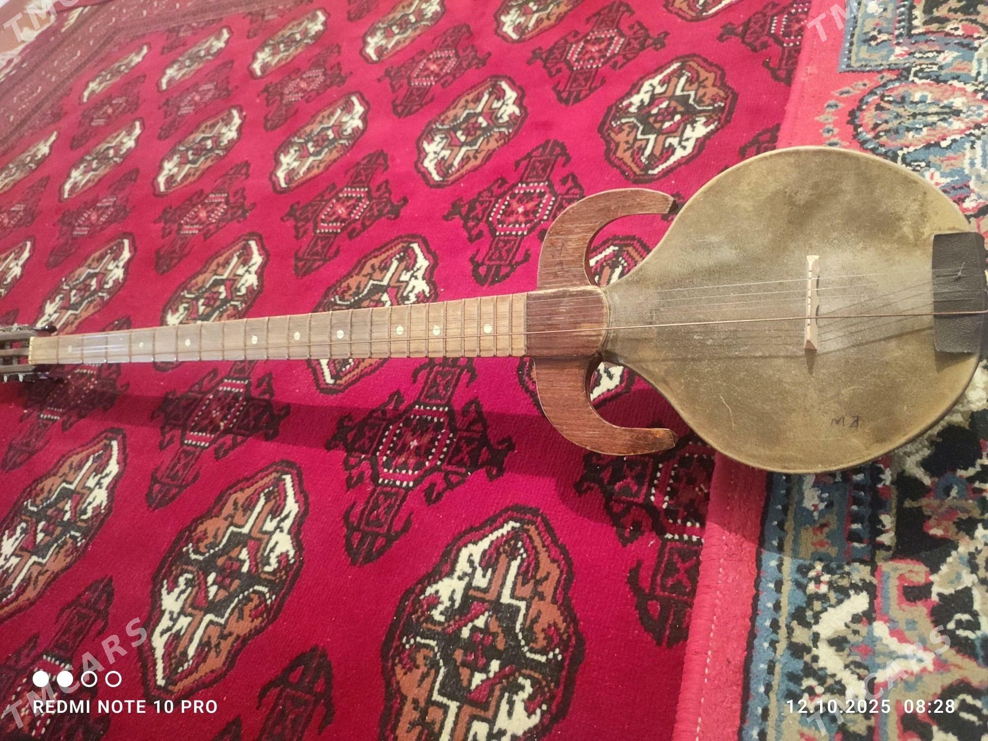 plektra dutar - Türkmengala - img 2