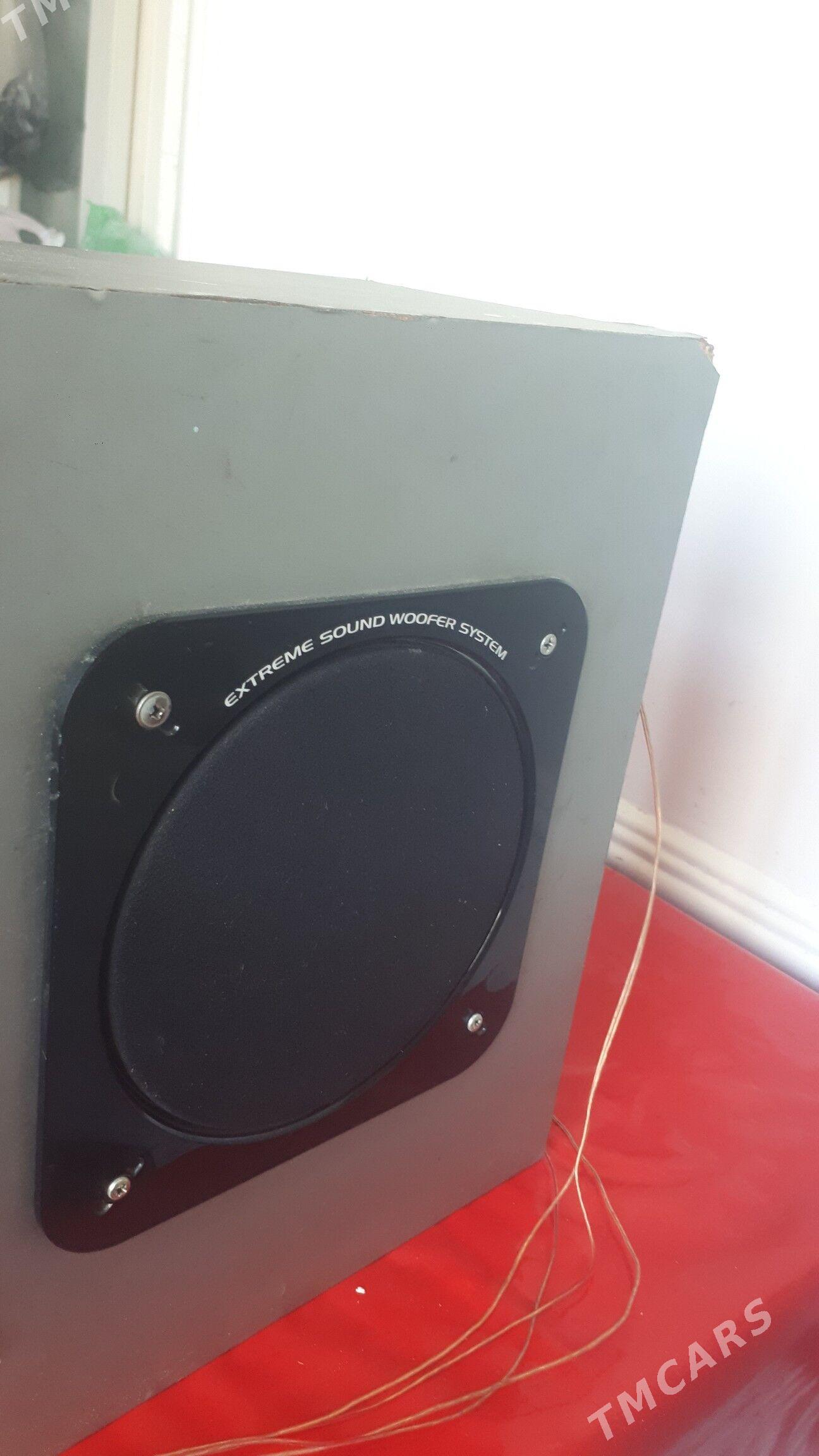 bass. bocka - Туркменабат - img 2