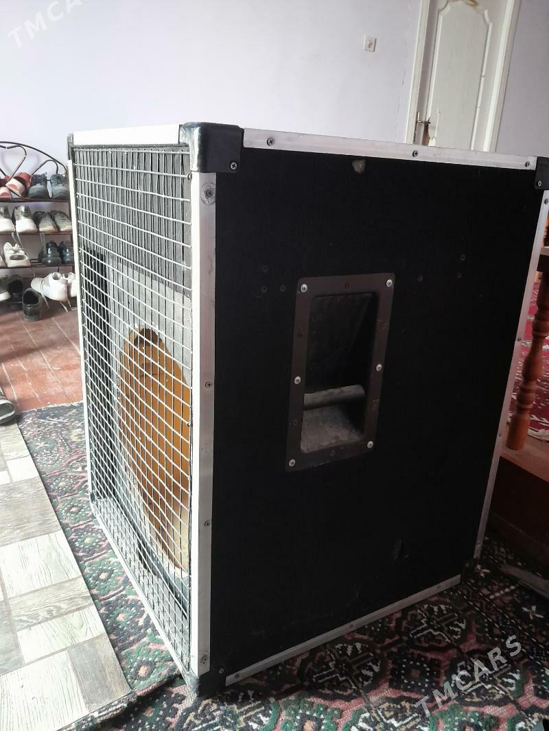 niskiy korpus - Şabat etr. - img 1