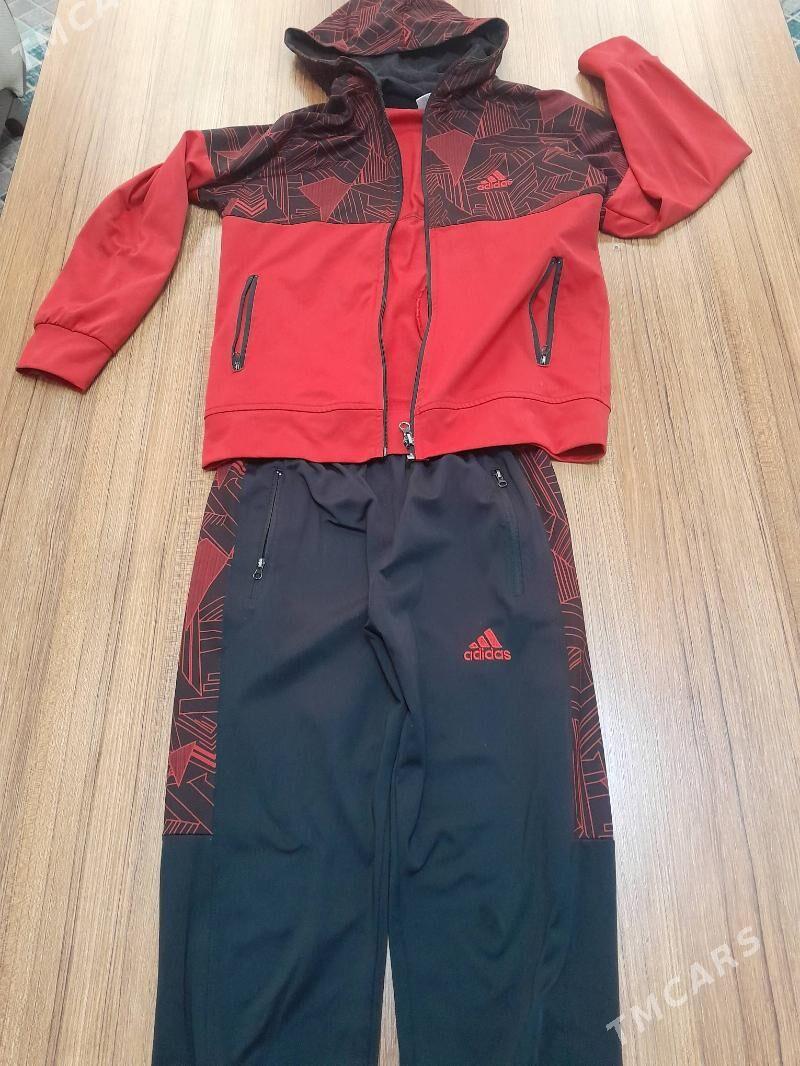 spartiwka - Мир 4 - img 2