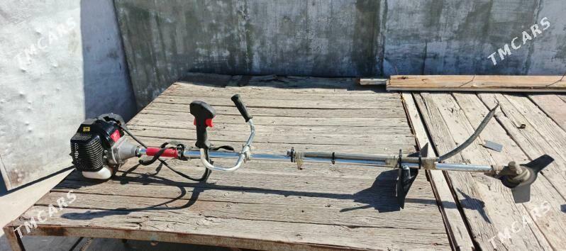 Ot orýan enjam - Daşoguz - img 1