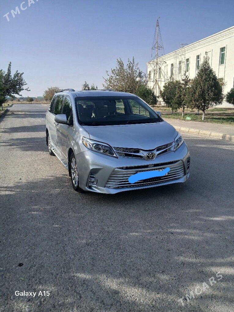 Toyota Sienna 2020 - 430 000 TMT - Bäherden - img 2