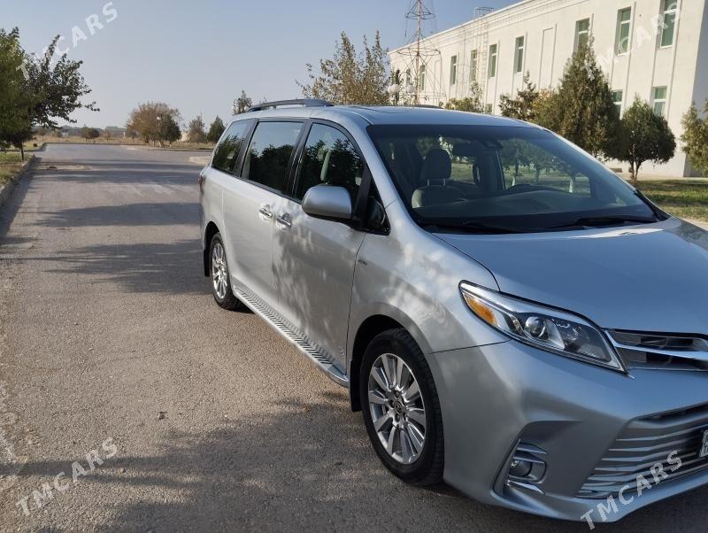 Toyota Sienna 2020 - 430 000 TMT - Bäherden - img 10