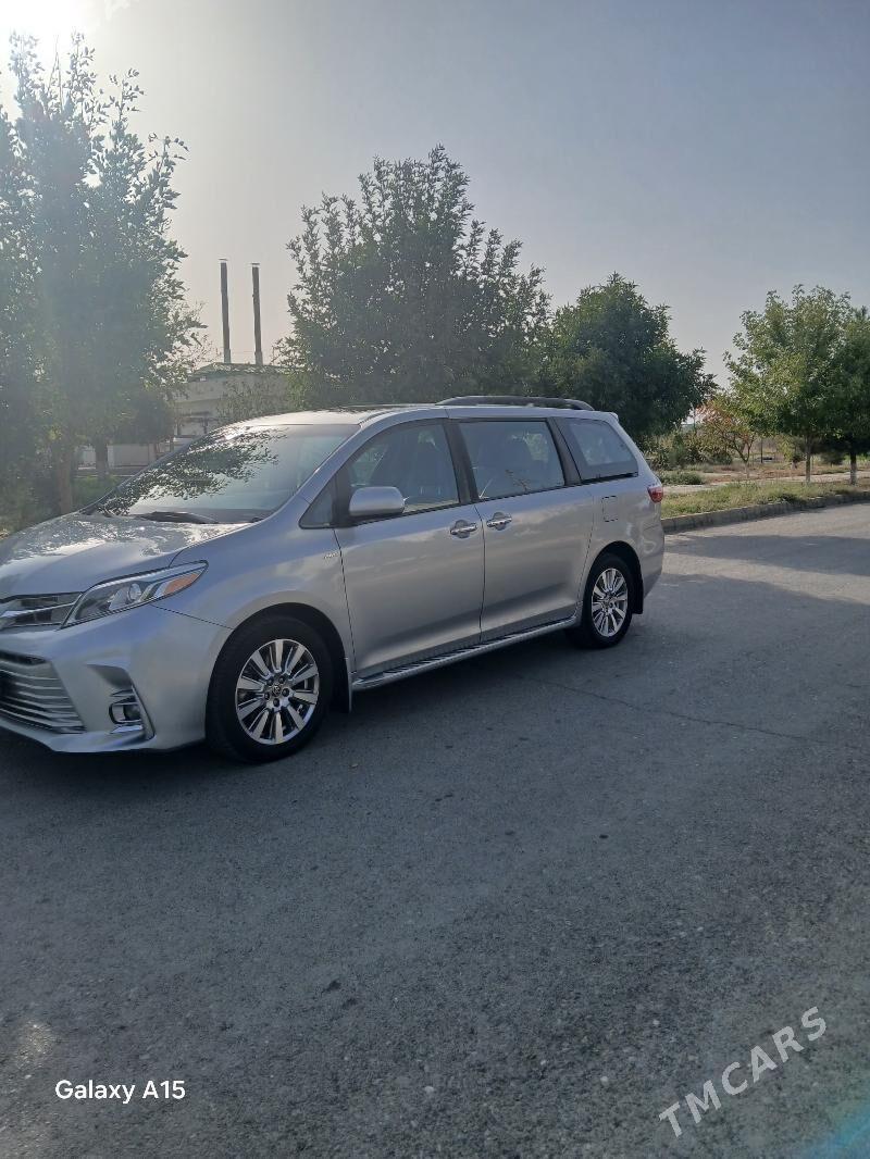 Toyota Sienna 2020 - 430 000 TMT - Bäherden - img 9