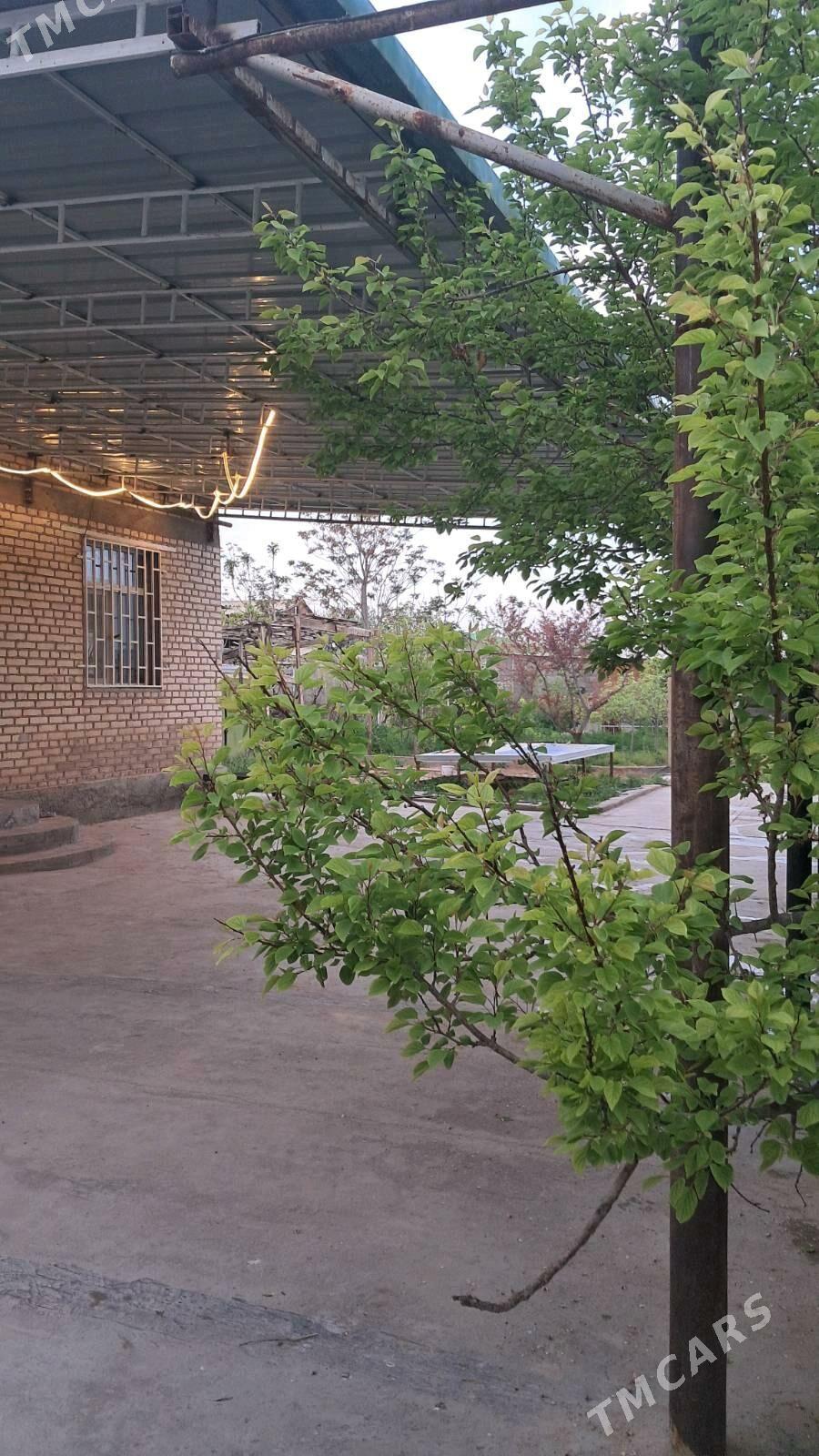 Satlyk JBI dacha дача жби - Änew - img 2