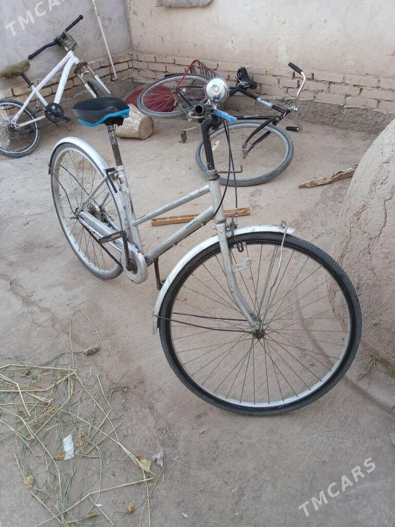 yapon tigir 27 - Daşoguz - img 2