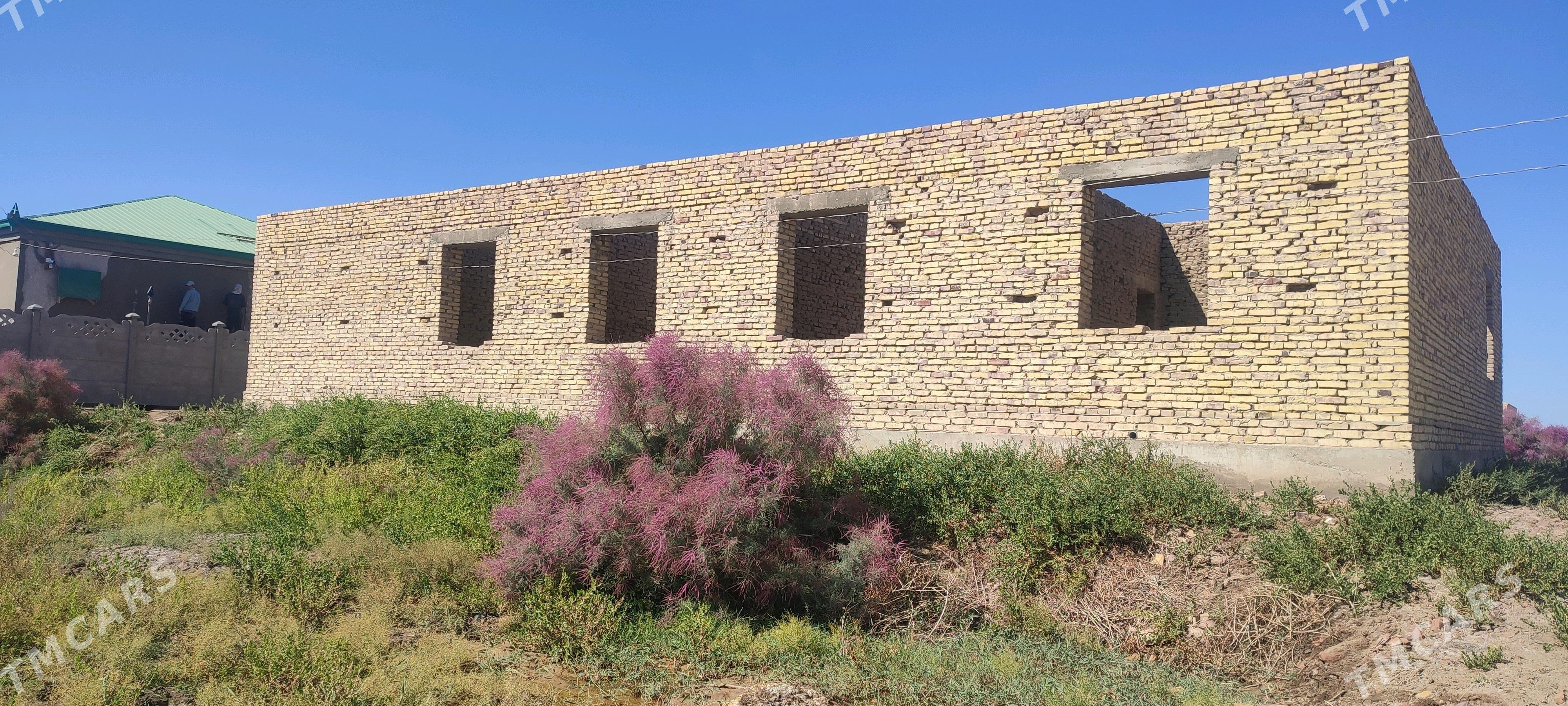 Satlyk jay - Дашогуз - img 2