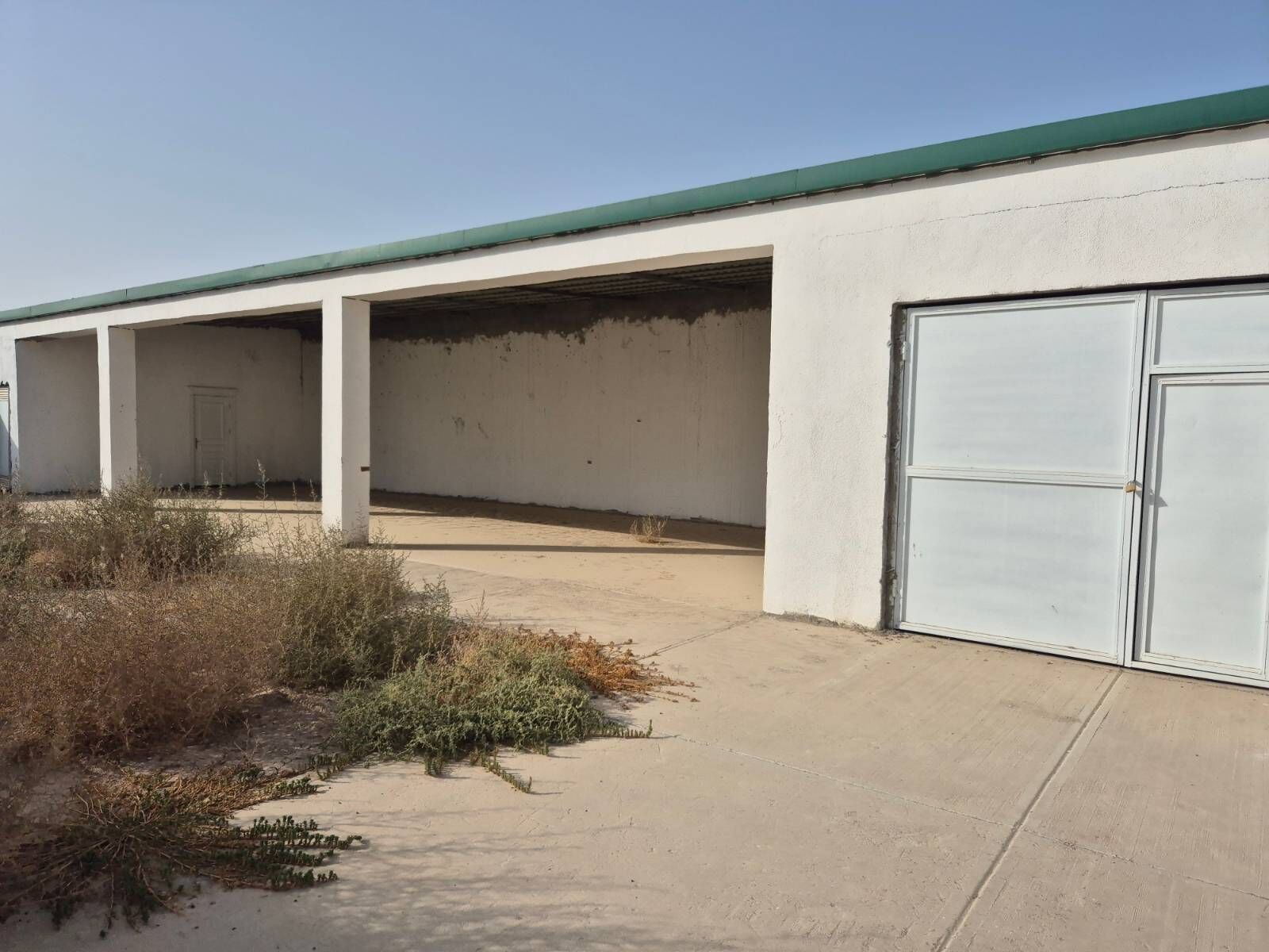 SATLYK JAÝ.TAZE GAMI 12 SOTUK - Aşgabat - img 2