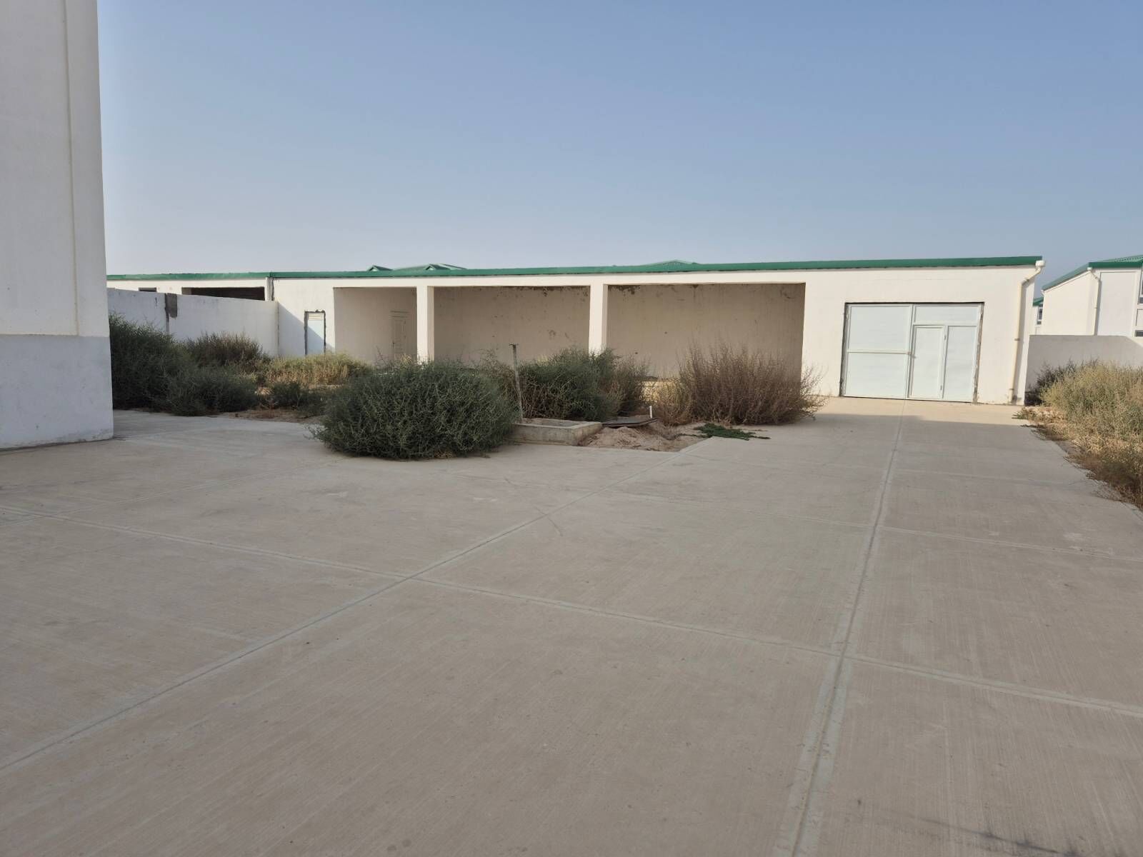 SATLYK JAÝ.TAZE GAMI 12 SOTUK - Aşgabat - img 5