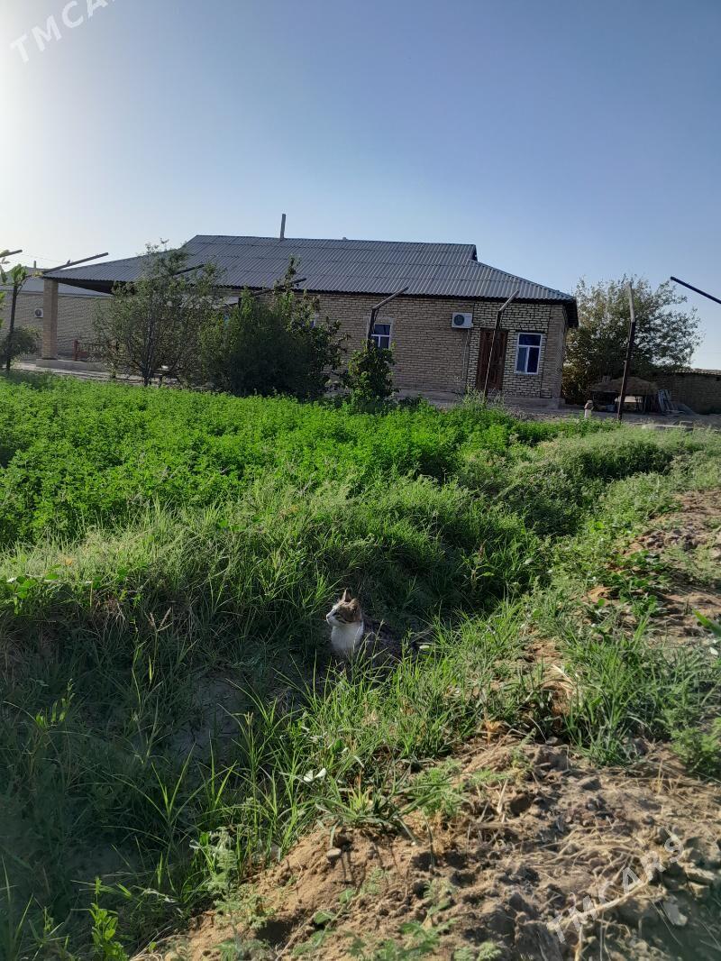 plan jay - Baýramaly - img 2