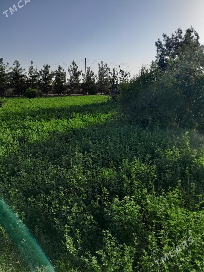 plan jay - Baýramaly - img 1