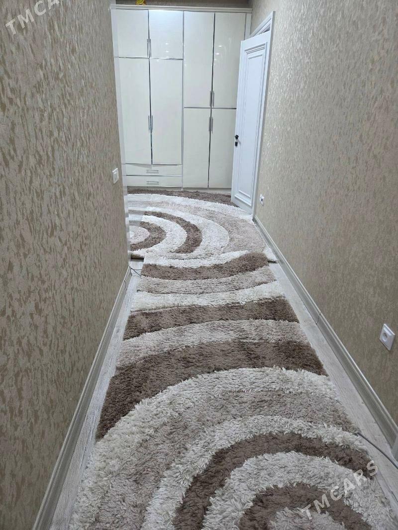 haly - 8 mkr - img 2