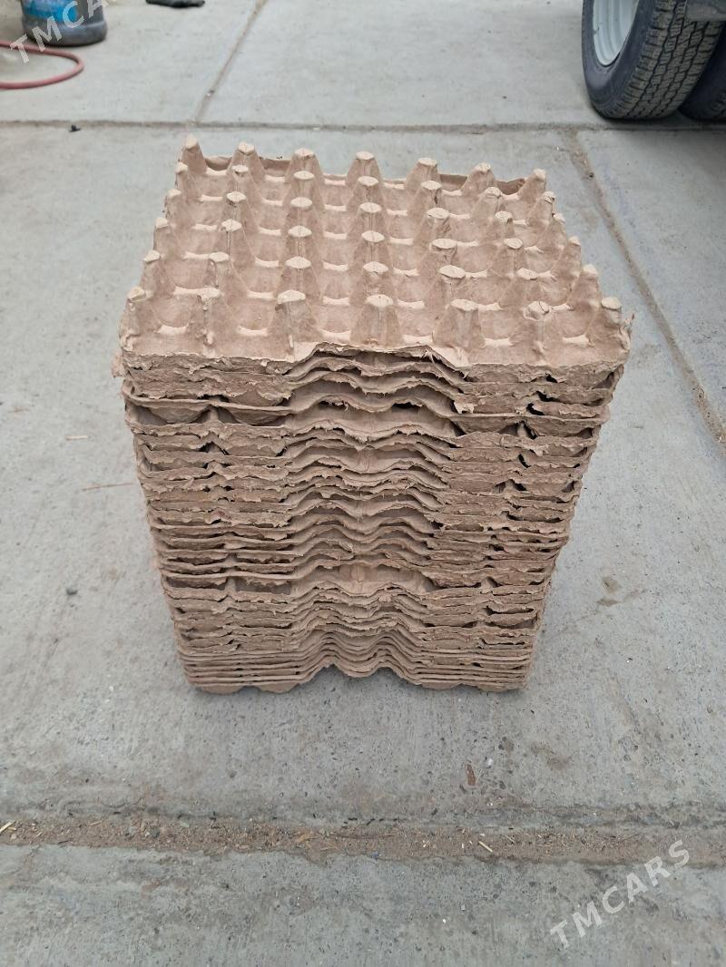 yumurtga latok - Gökdepe - img 1