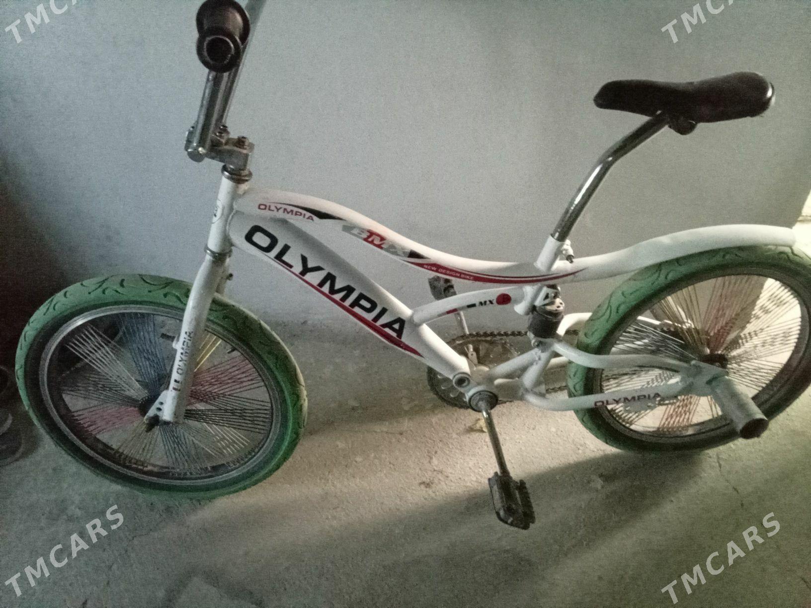 tigir - Bereket - img 1