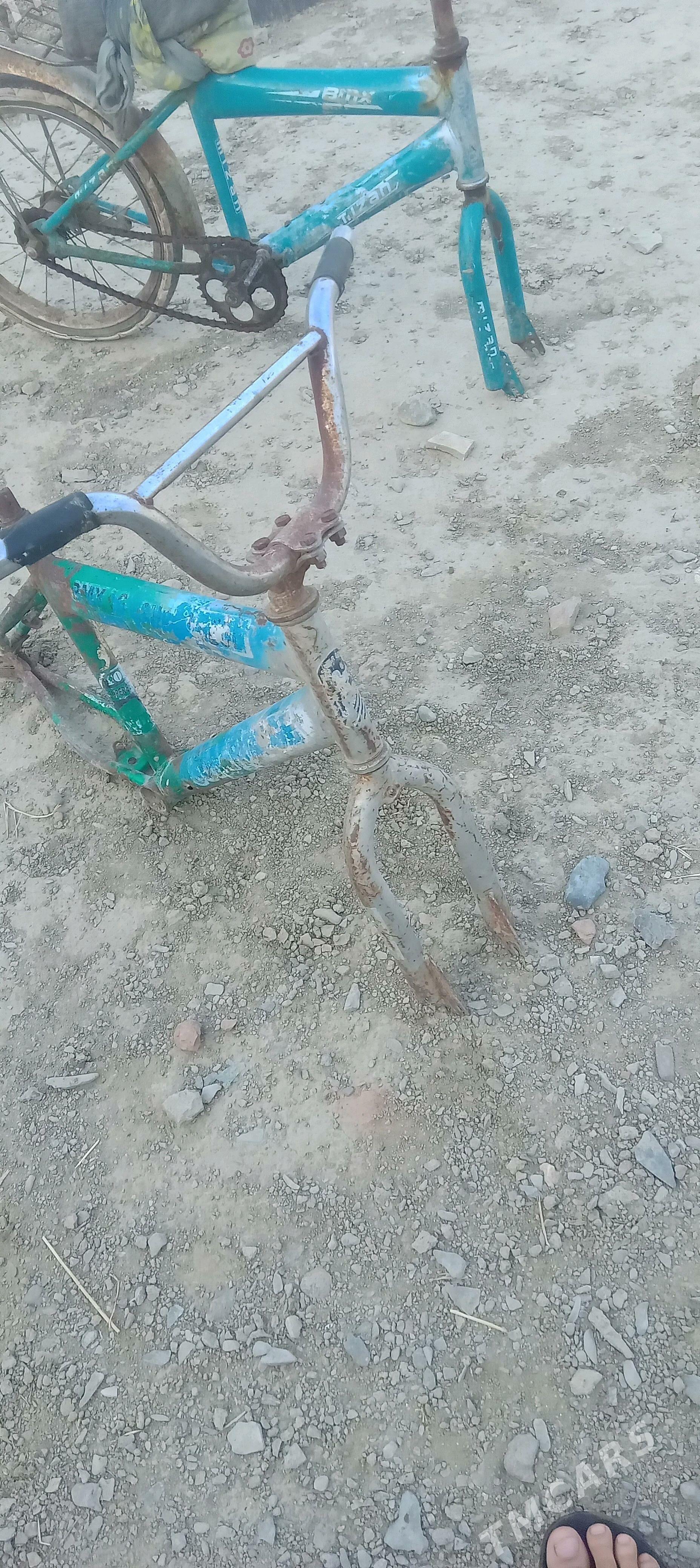 tigir göwre - Bäherden - img 2