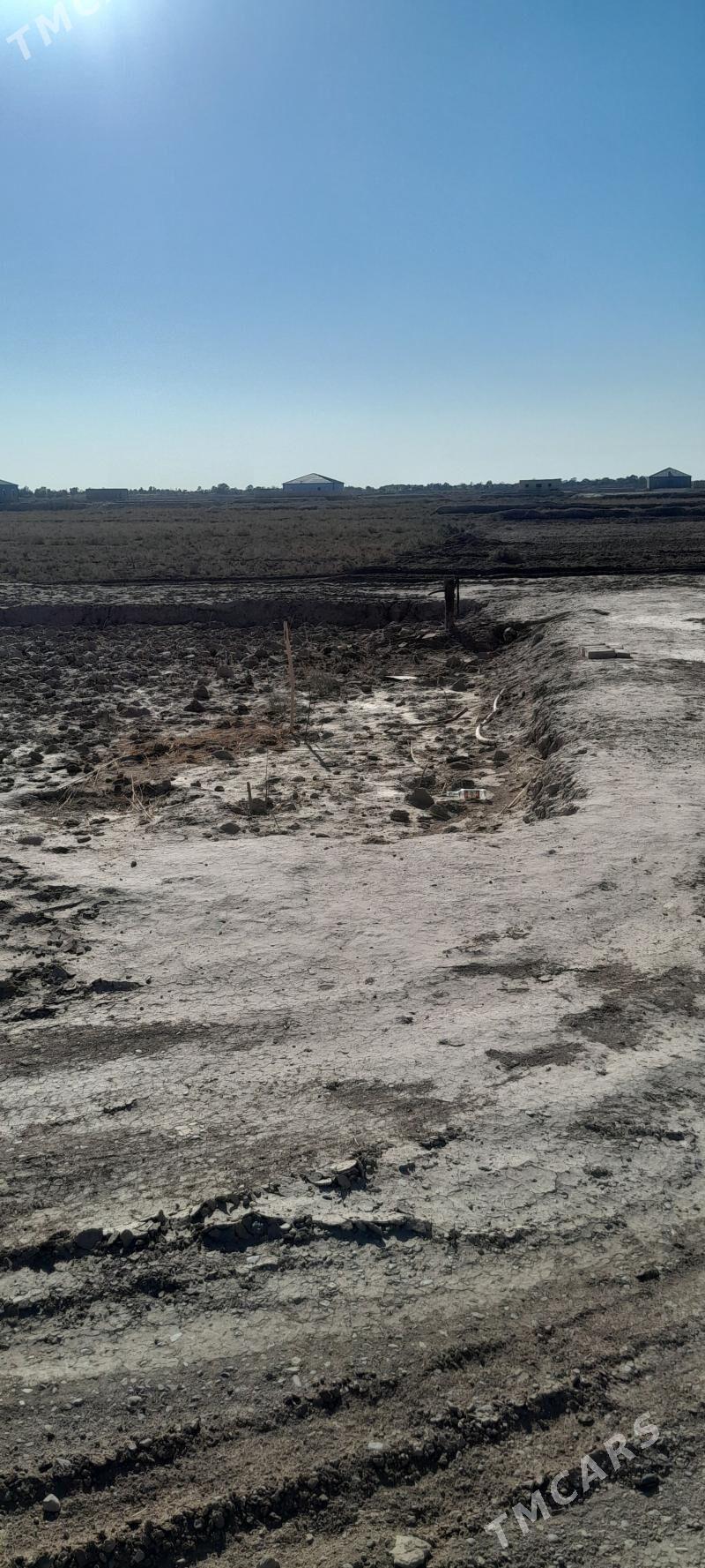 Satlyk jaý - Гороглы (Тагта) - img 6