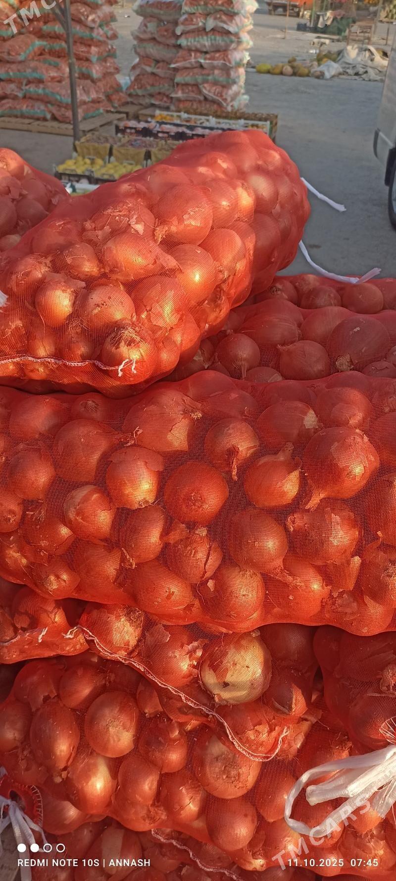 isgar gerek - Теджен - img 1