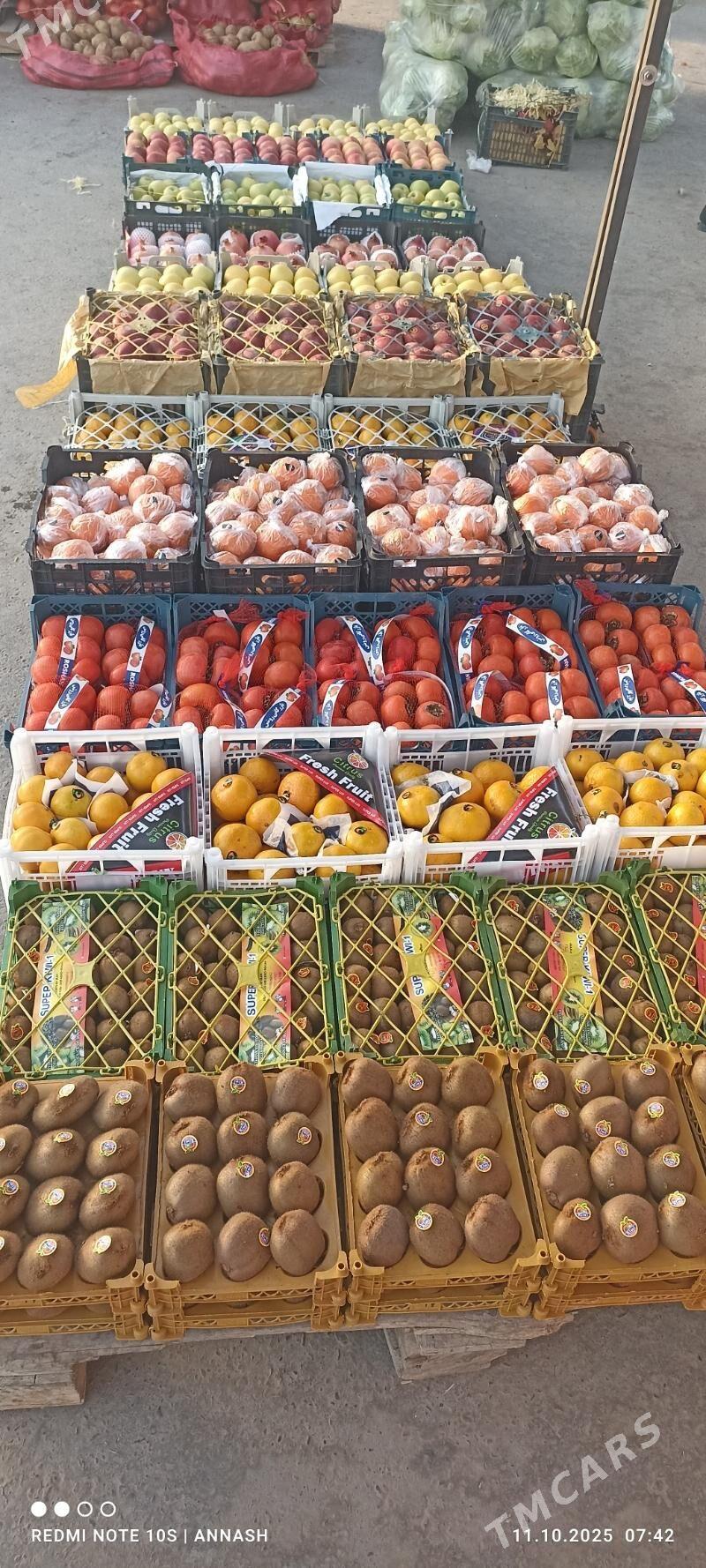 isgar gerek - Теджен - img 3