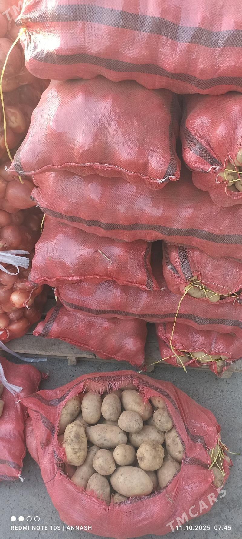 isgar gerek - Теджен - img 2