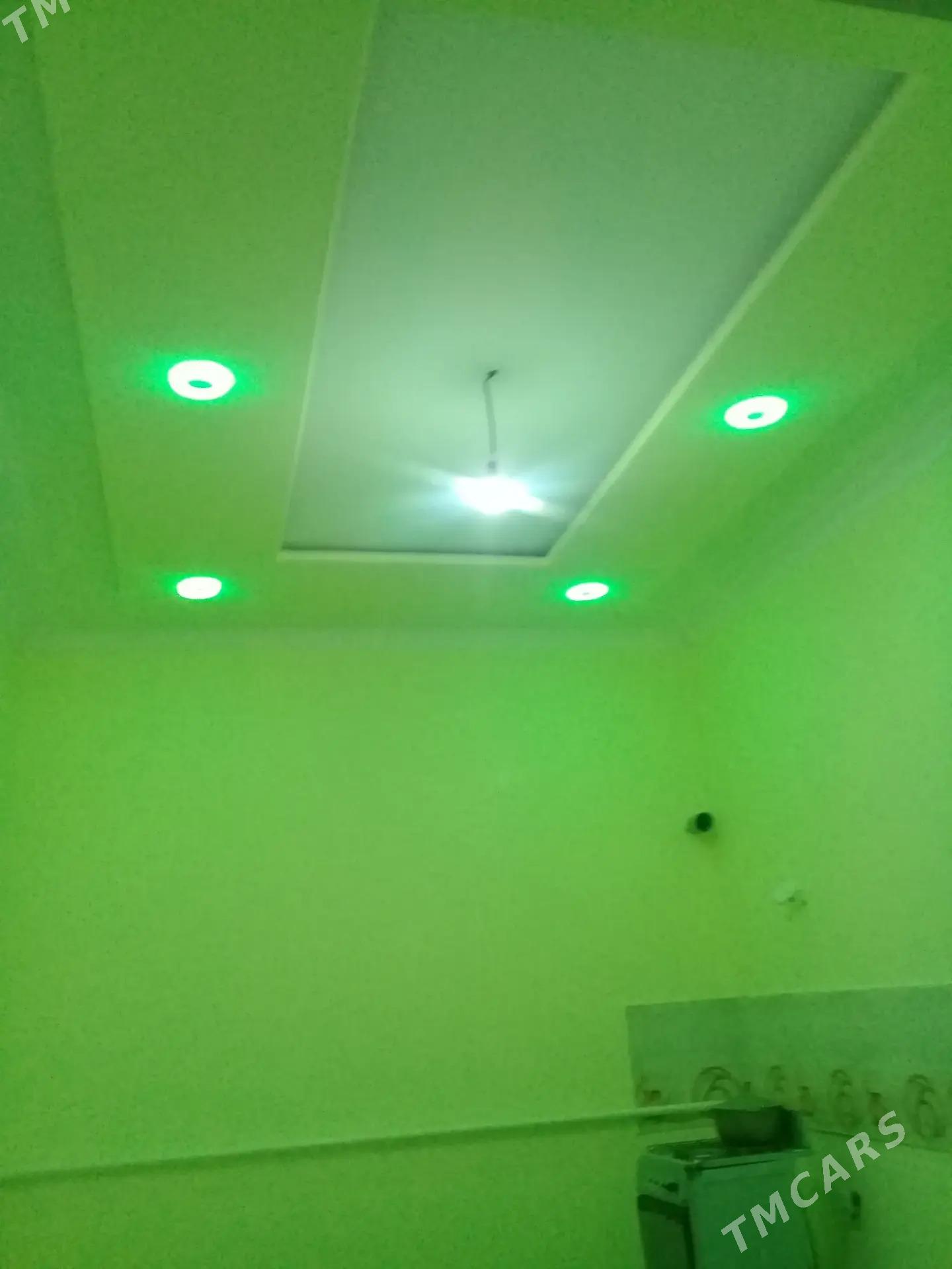 Howly jay - Дашогуз - img 2