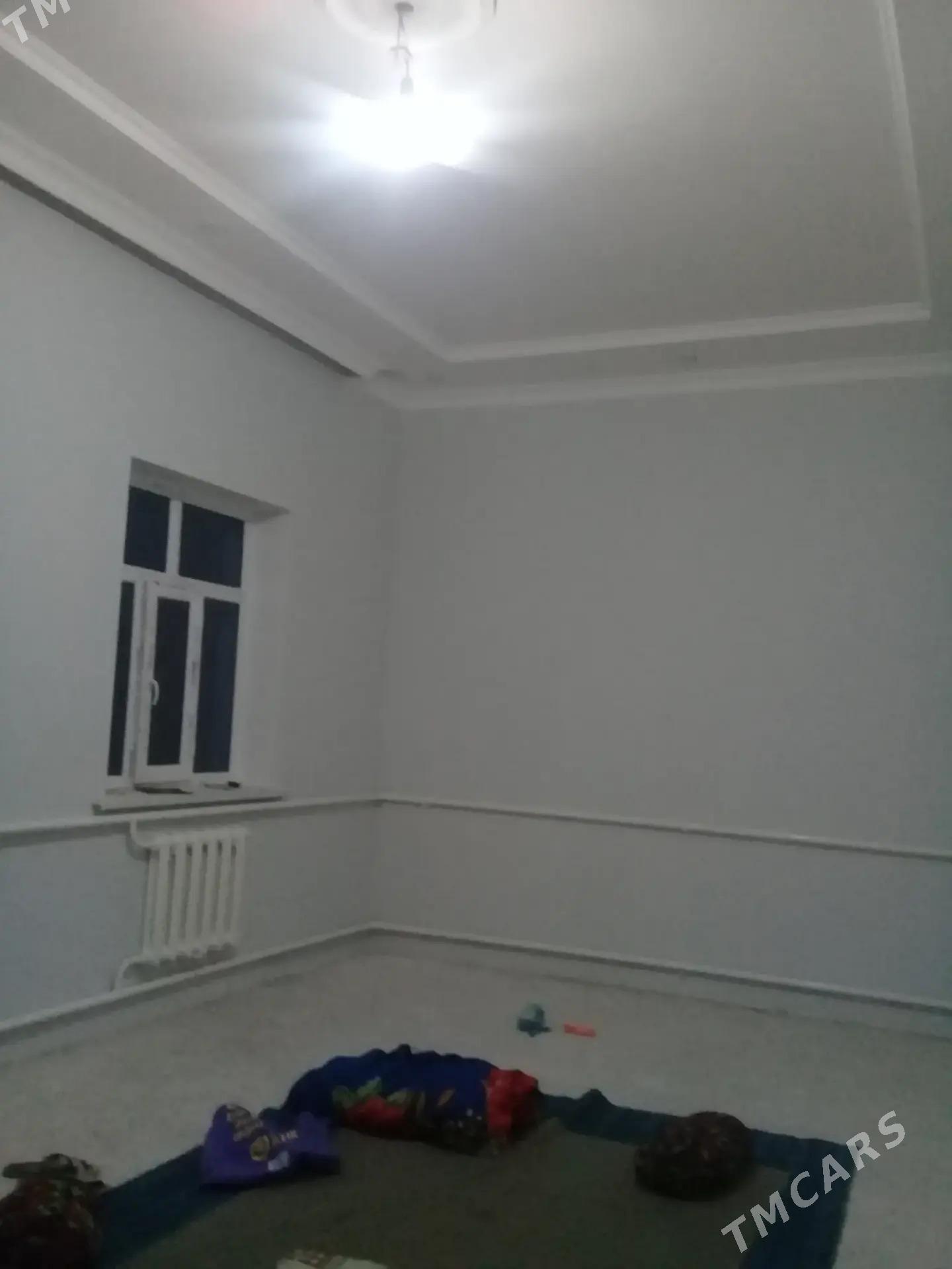 Howly jay - Дашогуз - img 3