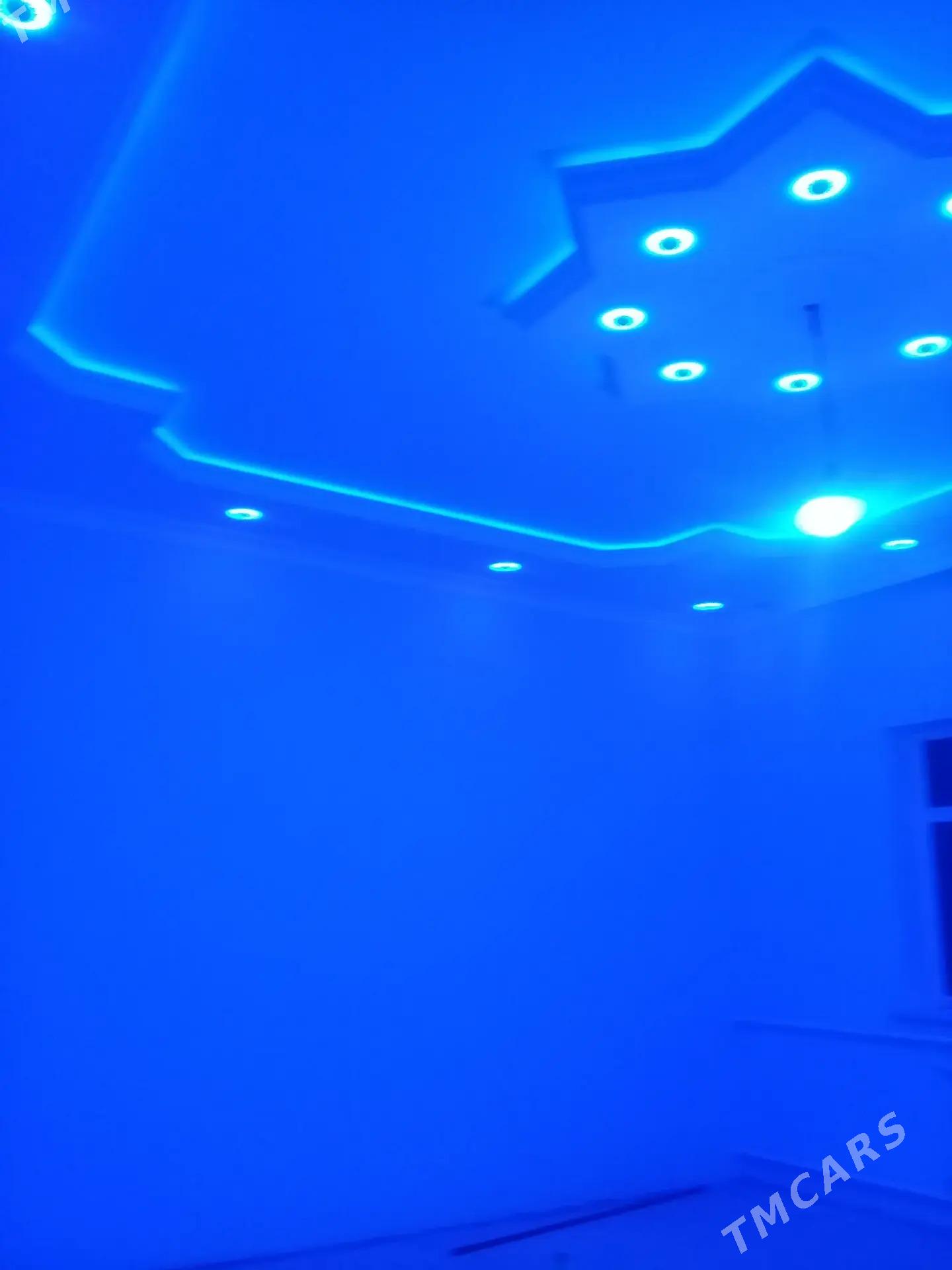 Howly jay - Дашогуз - img 7