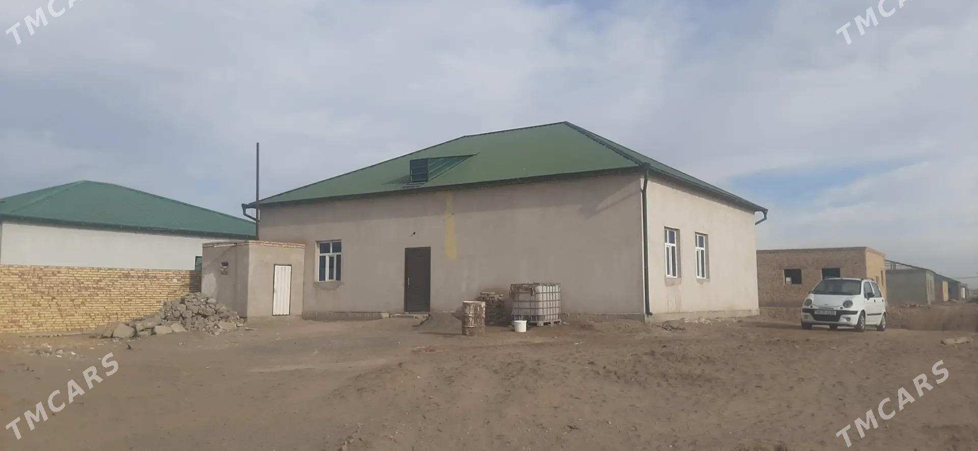 Howly jay - Дашогуз - img 5