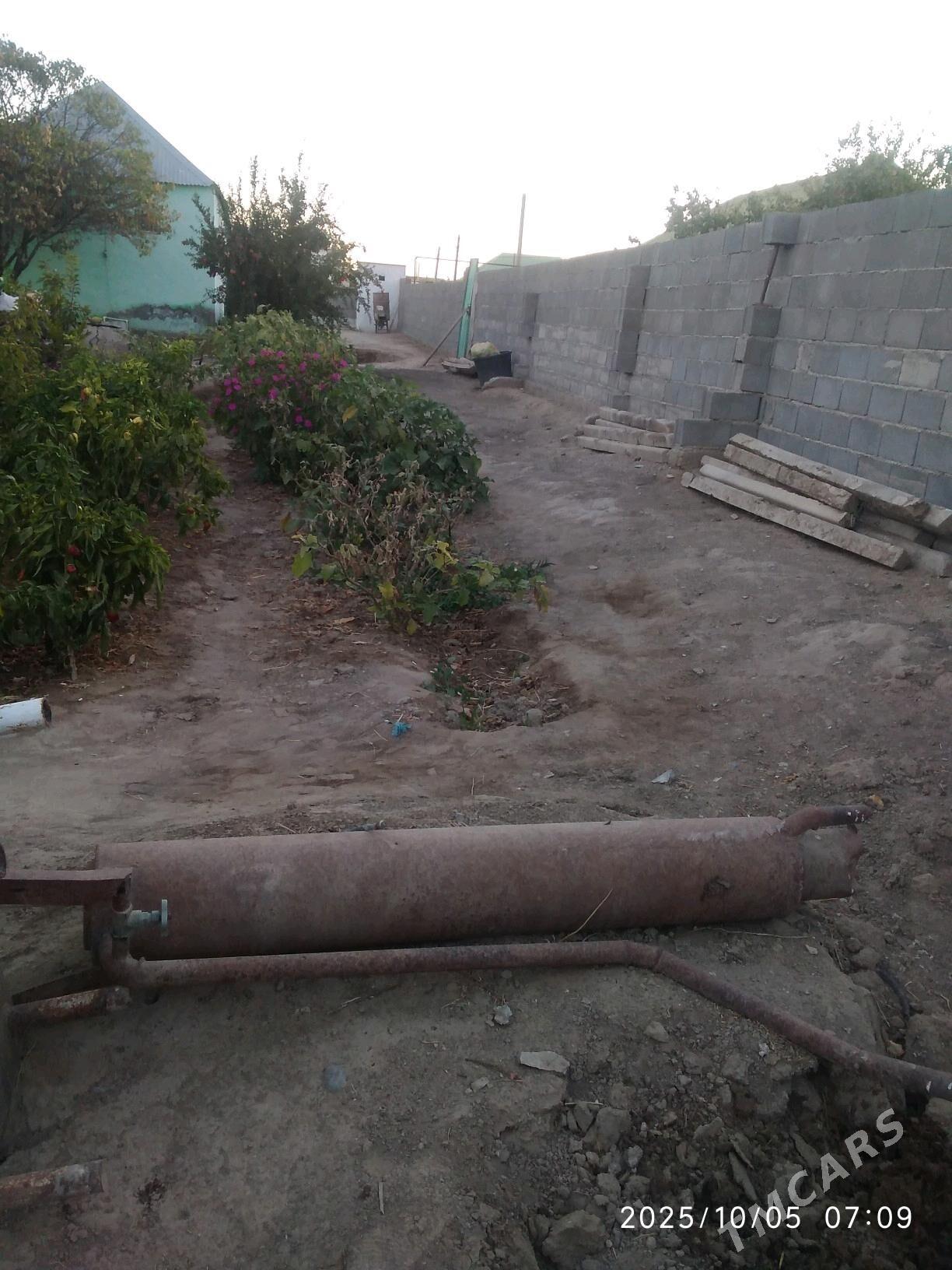 titan - Багир - img 1