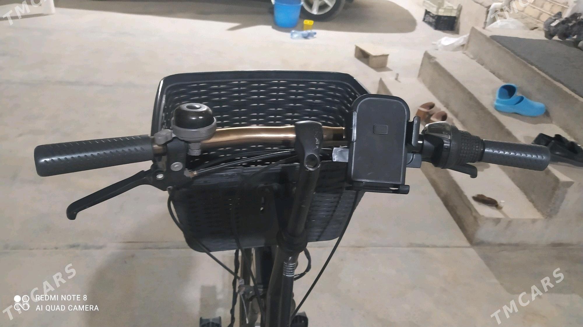 WELSEPET TIGIR 🦾🦾🦾 - Мургап - img 2