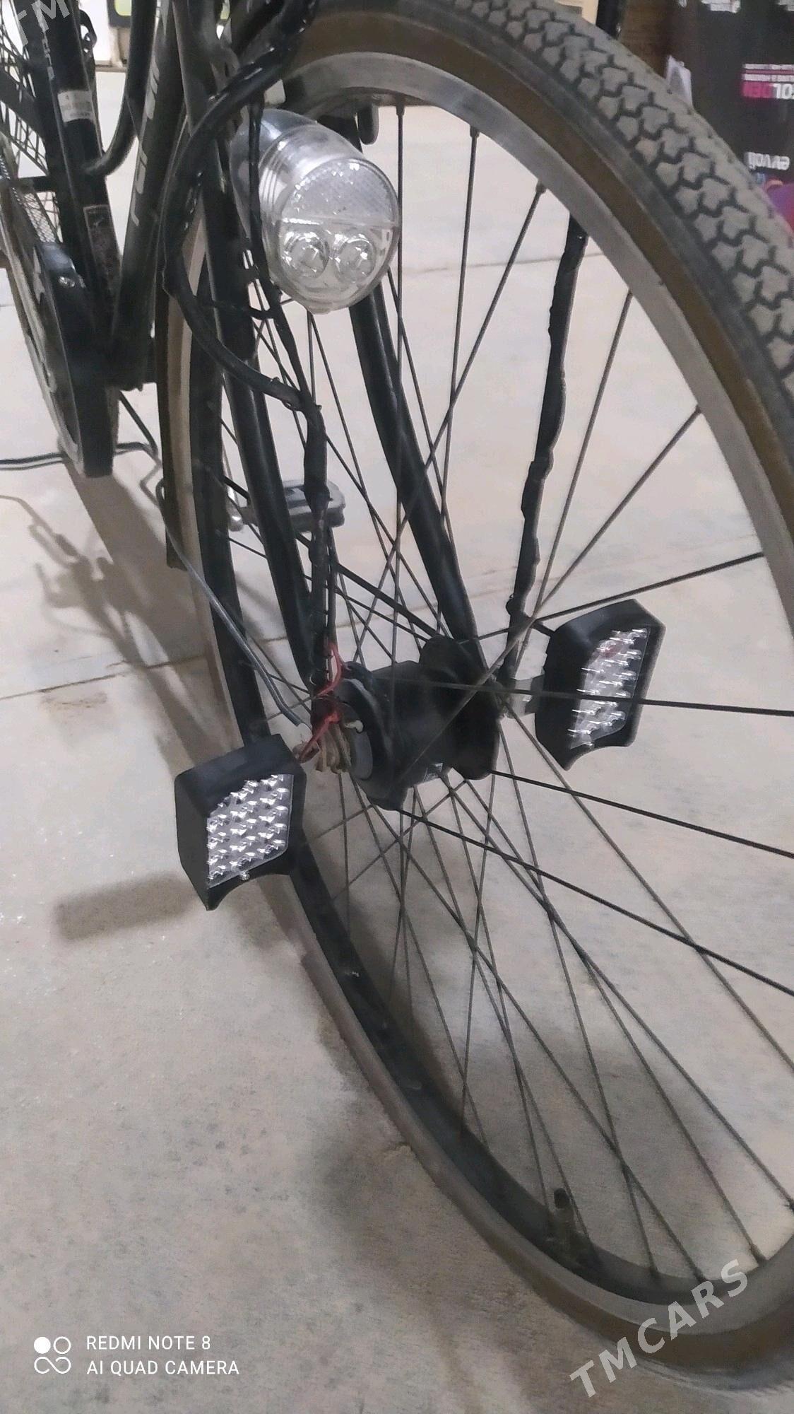 WELSEPET TIGIR 🦾🦾🦾 - Мургап - img 5