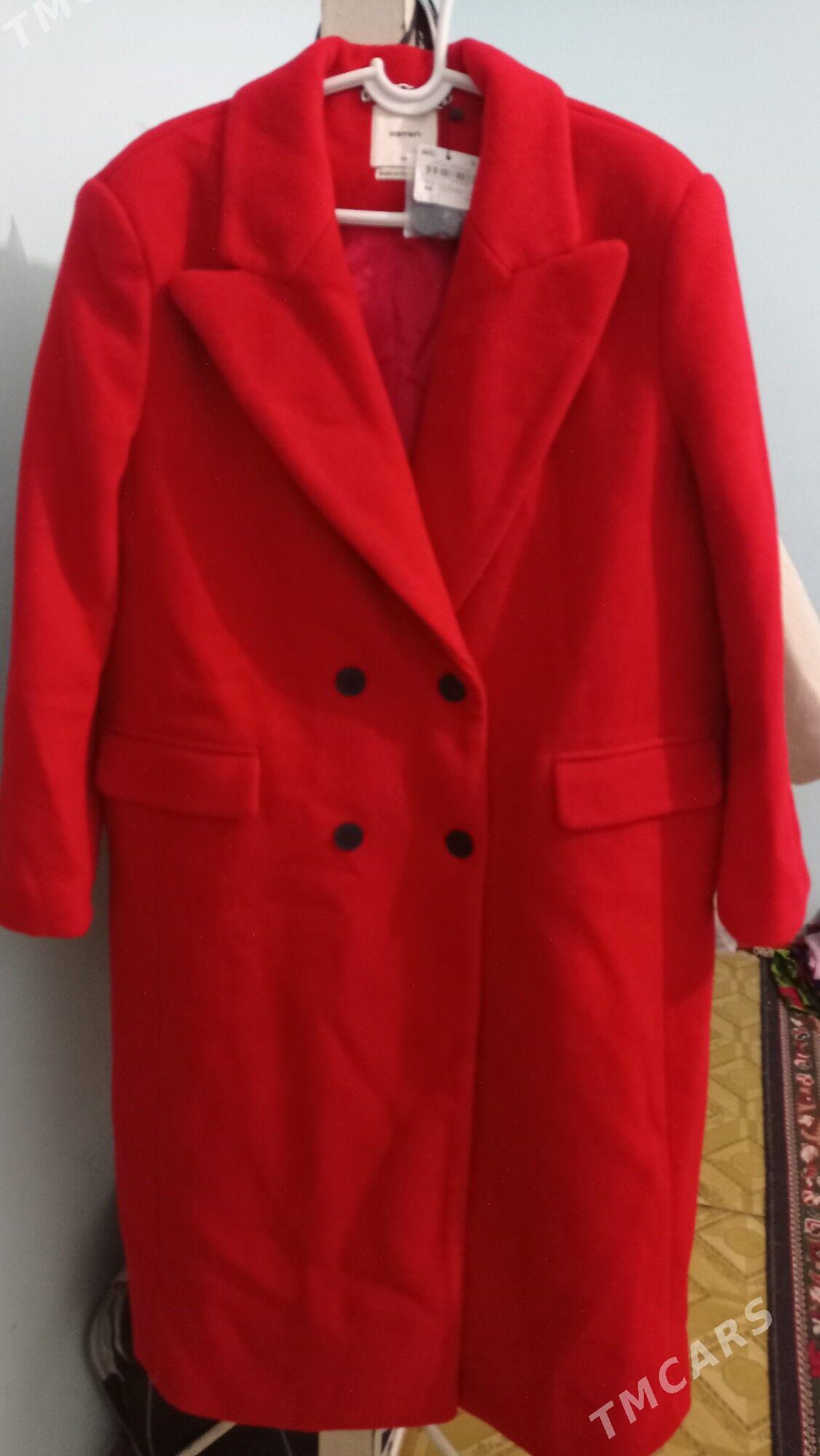 Paltolar - Türkmenabat - img 3