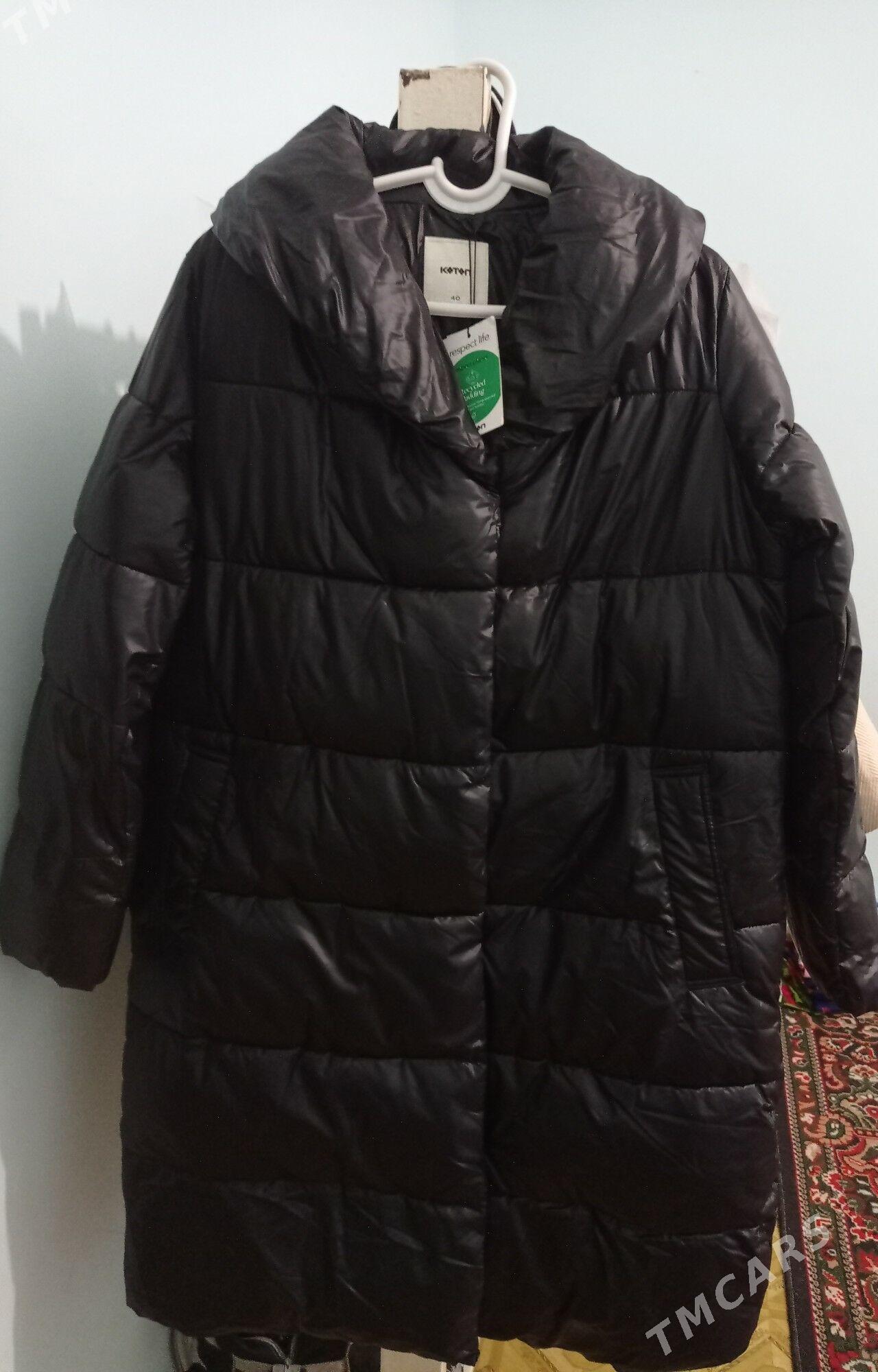 Paltolar - Türkmenabat - img 2