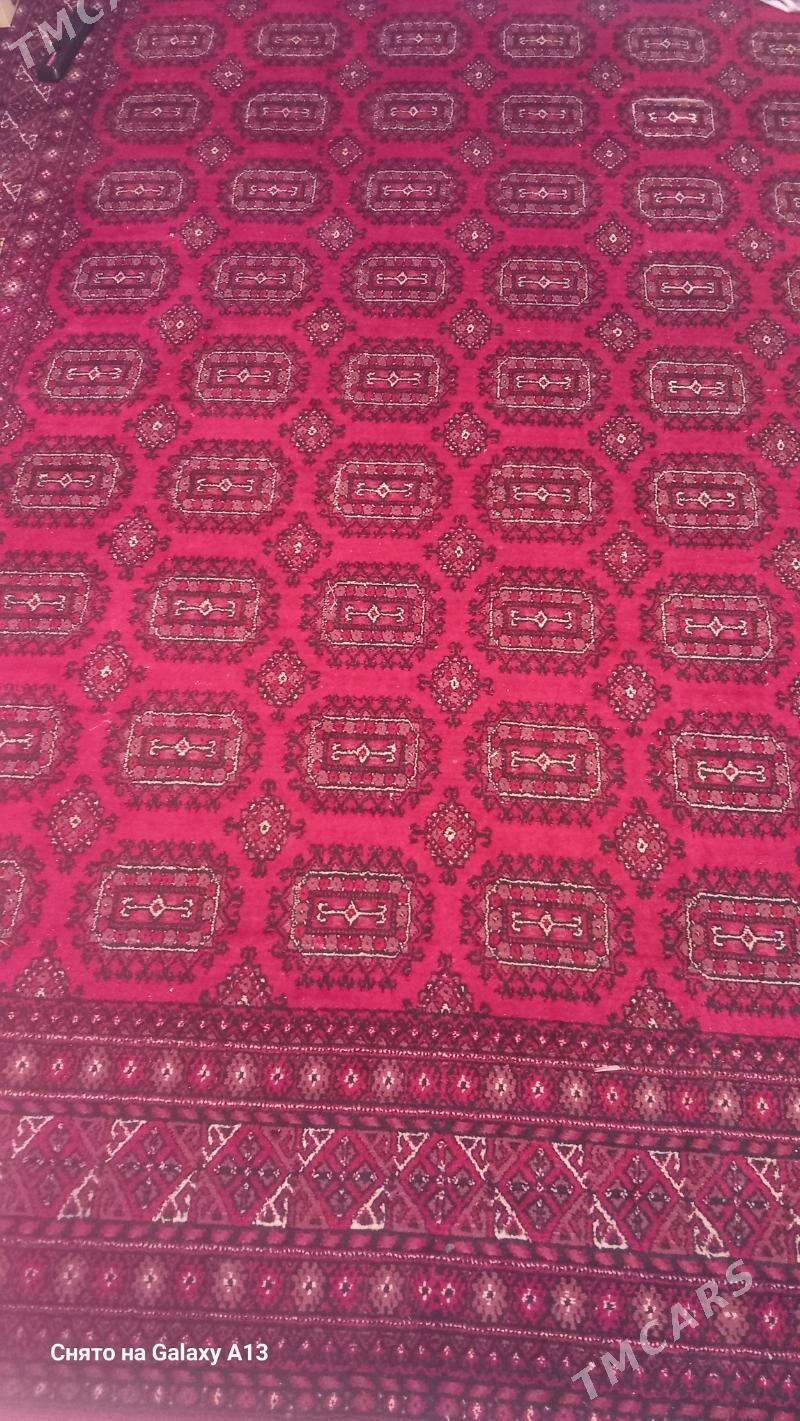 Haly 2*3 - Büzmeýin GRES - img 2