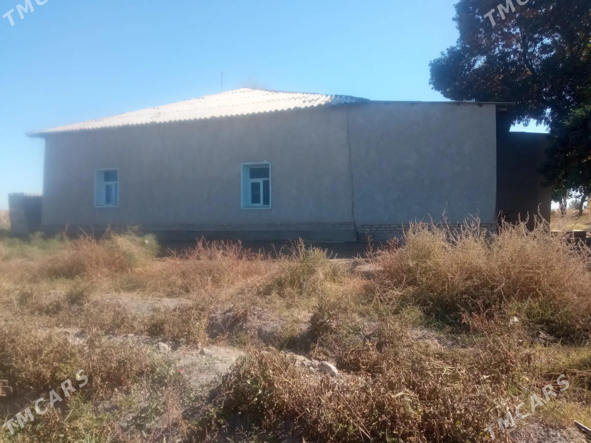 jay. satlyar - Кёнеургенч - img 4